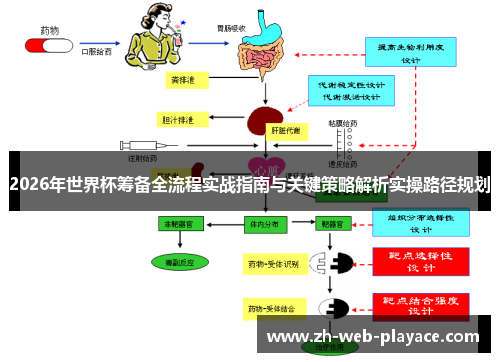 2026年世界杯筹备全流程实战指南与关键策略解析实操路径规划